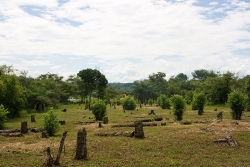 Belize property-looking west towards access road