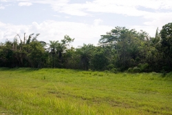 Belize Real Estate-from Western Highway
