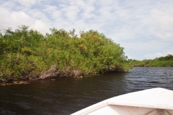 river to lagoon