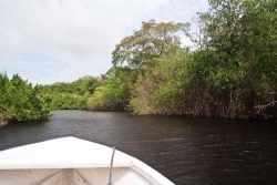 river to lagoon