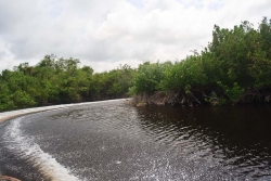 Belize land-down the river to lagoon