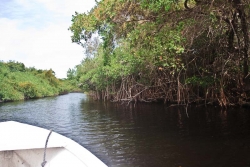 Belize properties-river to lagoon