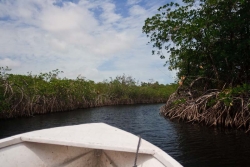 down the river-Belize property