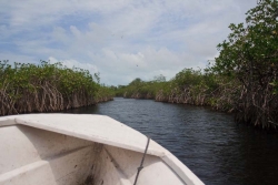 Belize real estate-river from Bomba