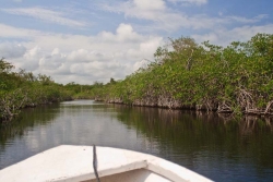river to the lagoon 