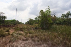 power lines on property
