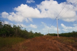 power lines on property