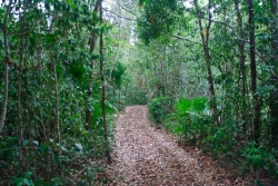road through property