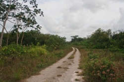 access road