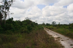 road on property