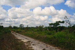 access road on property