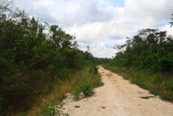 feeder road across property