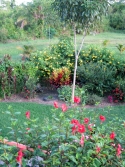 garden-1368-x-1824-jpg
