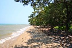 img_3585.jpg