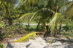 view from beach to lot