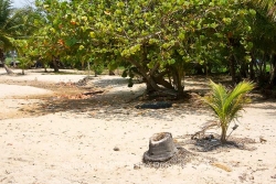 from beach