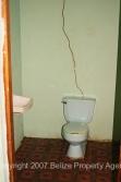 flush toilet
