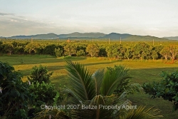mountainview