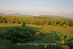 mountainview