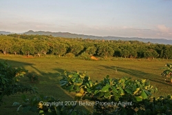mountainview