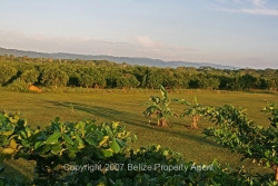 mountainview