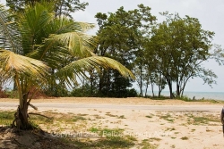 view from lot