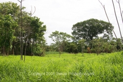 from road