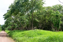 from road