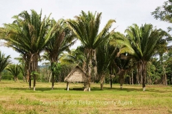 small cabanas