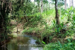 beautiful river
