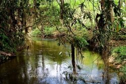 gorgeous river
