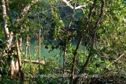 huge river