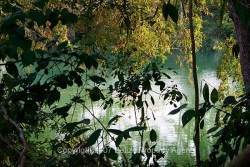 picturesque river