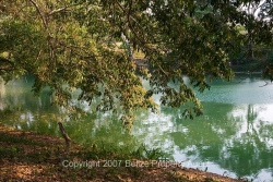 beautiful river