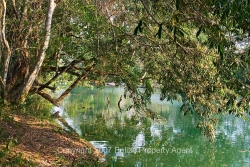 deep river