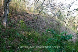 probable Mayan ruin