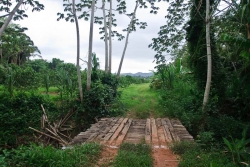 Real Estate in Belize