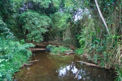 Belize Real Estate