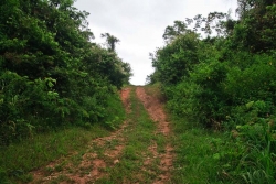 Belize Land for sale