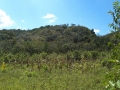 DSC00249_000.JPG