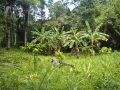 DSC00273_000.JPG