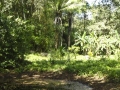 DSC00275_000.JPG