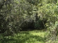 DSC00276_000.JPG