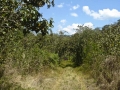 DSC00278_000.JPG
