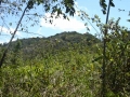 DSC00280_000.JPG