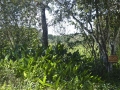 DSC00282_000.JPG