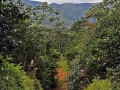 Belize land-all season road
