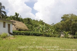 east side property