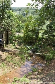 All season creek
