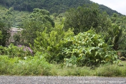 view from road